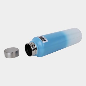 1 L Stainless Steel Bottle, 7 X 27 cm (Pack of 1) 1 L Stainless Steel Bottle, 7 X 27 cm (Pack of 1)