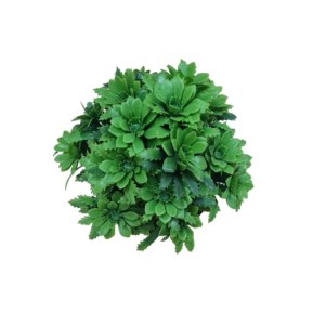 Hitech Artificial Green Bonsai with Pot for Home, Garden and Office Decor Hitech Artificial Green Bonsai with Pot for Home, Garden and Office Decor