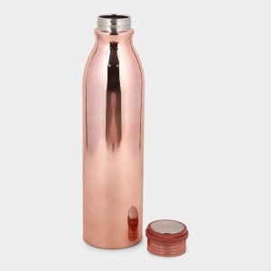 1 L Steel Bottle 8 X 31.5 cm (Pack of 1) 1 L Steel Bottle 8 X 31.5 cm (Pack of 1)