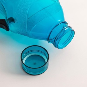 Reusable Large Capacity Water Bottle with Handle, Durable Plastic Drinking Bottle, Blue (Set of 2) (Blue) Reusable Large Capacity Water Bottle with Handle, Durable Plastic Drinking Bottle, Blue (Set of 2) (Blue)