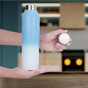 1 L Stainless Steel Bottle, 7 X 27 cm (Pack of 1) 1 L Stainless Steel Bottle, 7 X 27 cm (Pack of 1)