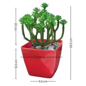 HiTechMart Artificial Succulent Plant in Red Pot – Lifelike Decorative Faux Greenery with Vibrant Pebbles for Home, Office, and Table Decor HiTechMart Artificial Succulent Plant in Red Pot – Lifelike Decorative Faux Greenery with Vibrant Pebbles for Home, Office, and Table Decor