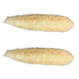 Natural Loofah Sponge for Bath & Body Scrubbing | 100% Organic Luffa Exfoliating Sponge | Eco-Friendly Shower Scrubber for Skin Care & Cleaning (Pack of 2)