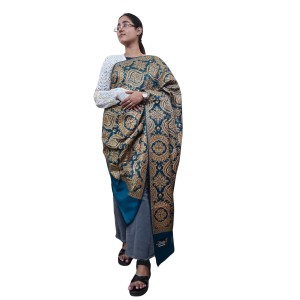 Women’s Traditional Shawl | Soft & Warm Winter Wrap Stole | Elegant Ethnic Design for Casual | Fashion Shawl for Women (Green) Women’s Traditional Shawl | Soft & Warm Winter Wrap Stole | Elegant Ethnic Design for Casual | Fashion Shawl for Women (Green)