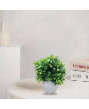 HiTechMart Artificial Green Boxwood Plant in White Ceramic Vase – Realistic Faux Desk & Tabletop Plant for Home, Office & Indoor Décor HiTechMart Artificial Green Boxwood Plant in White Ceramic Vase – Realistic Faux Desk & Tabletop Plant for Home, Office & Indoor Décor