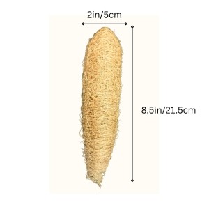 Natural Loofah Sponge for Bath & Body Scrubbing | 100% Organic Luffa Exfoliating Sponge | Eco-Friendly Shower Scrubber for Skin Care & Cleaning (Pack of 2)