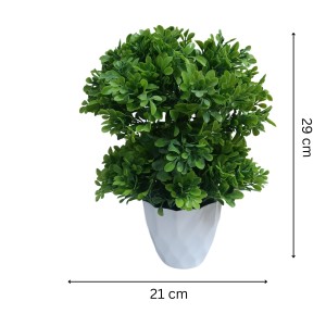 Hitech Sales Mini Artificial Bonsai Plants with Realistic Granite White Plastic Pot Aesthetic Home Decorations for Living Room Bedroom Home Decor, Office Desk, Gift for Birthday Housewarming Hitech Sales Mini Artificial Bonsai Plants with Realistic Granite White Plastic Pot Aesthetic Home Decorations for Living Room Bedroom Home Decor, Office Desk, Gift for Birthday Housewarming