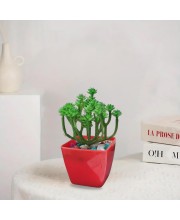 HiTechMart Artificial Succulent Plant in Red Pot – Lifelike Decorative Faux Greenery with Vibrant Pebbles for Home, Office, and Table Decor HiTechMart Artificial Succulent Plant in Red Pot – Lifelike Decorative Faux Greenery with Vibrant Pebbles for Home, Office, and Table Decor