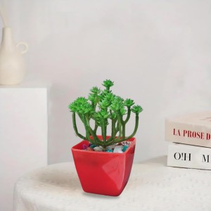HiTechMart Artificial Succulent Plant in Red Pot – Lifelike Decorative Faux Greenery with Vibrant Pebbles for Home, Office, and Table Decor HiTechMart Artificial Succulent Plant in Red Pot – Lifelike Decorative Faux Greenery with Vibrant Pebbles for Home, Office, and Table Decor