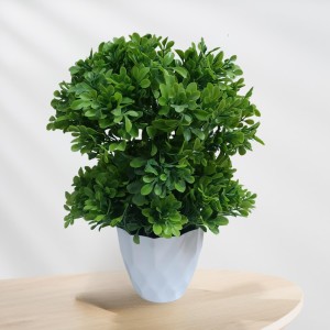 Hitech Sales Mini Artificial Bonsai Plants with Realistic Granite White Plastic Pot Aesthetic Home Decorations for Living Room Bedroom Home Decor, Office Desk, Gift for Birthday Housewarming Hitech Sales Mini Artificial Bonsai Plants with Realistic Granite White Plastic Pot Aesthetic Home Decorations for Living Room Bedroom Home Decor, Office Desk, Gift for Birthday Housewarming