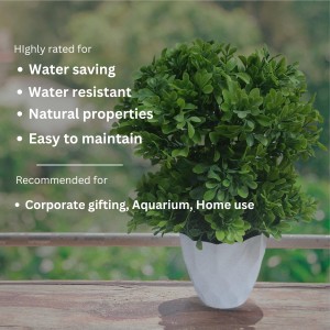 Hitech Sales Mini Artificial Bonsai Plants with Realistic Granite White Plastic Pot Aesthetic Home Decorations for Living Room Bedroom Home Decor, Office Desk, Gift for Birthday Housewarming Hitech Sales Mini Artificial Bonsai Plants with Realistic Granite White Plastic Pot Aesthetic Home Decorations for Living Room Bedroom Home Decor, Office Desk, Gift for Birthday Housewarming