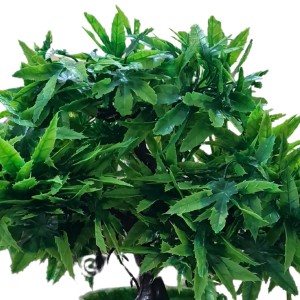 HiTechMart Artificial Green Bonsai Tree – Lifelike Faux Miniature Plant in White Pot for Home & Office Décor, Maintenance-Free Decorative Greenery HiTechMart Artificial Green Bonsai Tree – Lifelike Faux Miniature Plant in White Pot for Home & Office Décor, Maintenance-Free Decorative Greenery