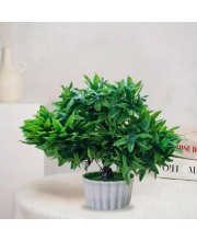 HiTechMart Artificial Green Bonsai Tree – Lifelike Faux Miniature Plant in White Pot for Home & Office Décor, Maintenance-Free Decorative Greenery HiTechMart Artificial Green Bonsai Tree – Lifelike Faux Miniature Plant in White Pot for Home & Office Décor, Maintenance-Free Decorative Greenery