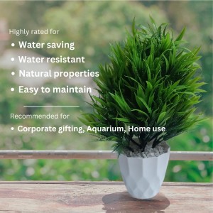 Hitech Sales Artificial Bamboo Leaves Bunch with Plastic Pot (30 x 24 cm) Color - Green Hitech Sales Artificial Bamboo Leaves Bunch with Plastic Pot (30 x 24 cm) Color - Green