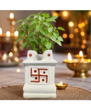 Handcrafted Ceramic White Tulsi Mandir with Auspicious Swastik Design | Traditional Tulsi Planter for Home, Balcony & Puja Room| Design May Vary | Securely Packed in a Wooden Box for Safe Delivery