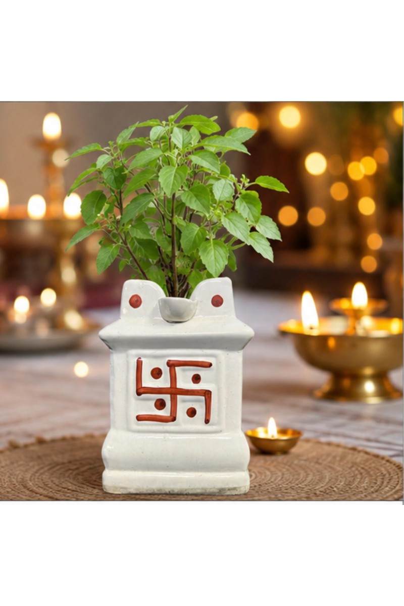 Handcrafted Ceramic White Tulsi Mandir with Auspicious Swastik Design | Traditional Tulsi Planter for Home, Balcony & Puja Room| Design May Vary | Securely Packed in a Wooden Box for Safe Delivery