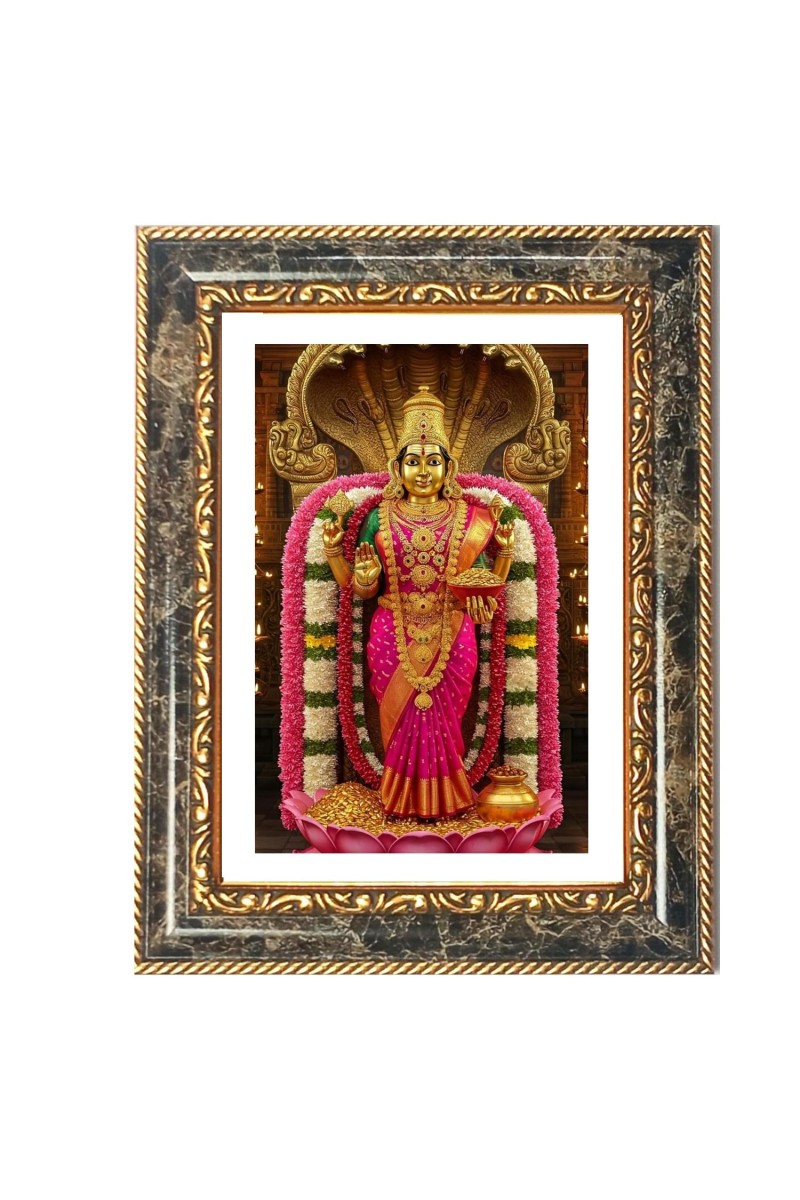 Madhubani Folk Art Decorative Photo Frame With White Mount | Premium Wall & Tabletop Picture Frame | Home, Office & Temple Decoration | 12x16 Inch (Pack Of 1) (F32662)