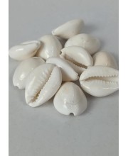 Hitech Sales Natural White Cowrie-Kaudi-Kawri-Kori - Cowry- Sea Shell for Puja and Multi Purpose Uses (100) Hitech Sales Natural White Cowrie-Kaudi-Kawri-Kori - Cowry- Sea Shell for Puja and Multi Purpose Uses (100)