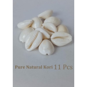 Hitech Sales Natural White Cowrie-Kaudi-Kawri-Kori - Cowry- Sea Shell for Puja and Multi Purpose Uses (11) Hitech Sales Natural White Cowrie-Kaudi-Kawri-Kori - Cowry- Sea Shell for Puja and Multi Purpose Uses (11)