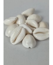 Hitech Sales Natural White Cowrie-Kaudi-Kawri-Kori - Cowry- Sea Shell for Puja and Multi Purpose Uses (11) Hitech Sales Natural White Cowrie-Kaudi-Kawri-Kori - Cowry- Sea Shell for Puja and Multi Purpose Uses (11)