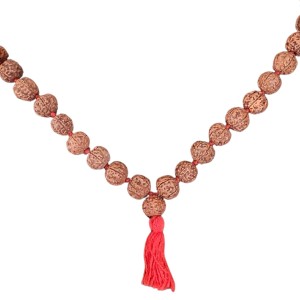 HiTechMart 5 Mukhi Rudraksha Mala Hindu Prayer Meditation Rosary with Red Tassel HiTechMart 5 Mukhi Rudraksha Mala Hindu Prayer Meditation Rosary with Red Tassel