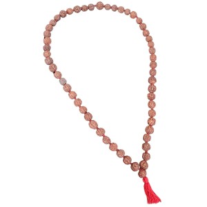HiTechMart 5 Mukhi Rudraksha Mala Hindu Prayer Meditation Rosary with Red Tassel HiTechMart 5 Mukhi Rudraksha Mala Hindu Prayer Meditation Rosary with Red Tassel