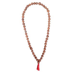 HiTechMart 5 Mukhi Rudraksha Mala Hindu Prayer Meditation Rosary with Red Tassel HiTechMart 5 Mukhi Rudraksha Mala Hindu Prayer Meditation Rosary with Red Tassel