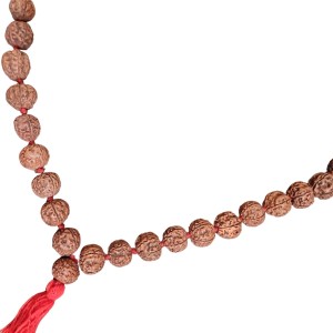 HiTechMart 5 Mukhi Rudraksha Mala Hindu Prayer Meditation Rosary with Red Tassel HiTechMart 5 Mukhi Rudraksha Mala Hindu Prayer Meditation Rosary with Red Tassel
