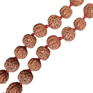 HiTechMart 5 Mukhi Rudraksha Mala Hindu Prayer Meditation Rosary with Red Tassel HiTechMart 5 Mukhi Rudraksha Mala Hindu Prayer Meditation Rosary with Red Tassel