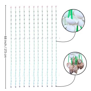 HiTechMart Handcrafted Seashell Door Hanging – 68 Inch Traditional Swag Toran for Entrance & Pooja Room – White Sea Shell Curtain for Home Décor, Boho Style, Eco-Friendly Coastal Decor HiTechMart Handcrafted Seashell Door Hanging – 68 Inch Traditional Swag Toran for Entrance & Pooja Room – White Sea Shell Curtain for Home Décor, Boho Style, Eco-Friendly Coastal Decor