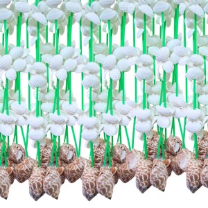 HiTechMart Handcrafted Seashell Door Hanging – 68 Inch Traditional Swag Toran for Entrance & Pooja Room – White Sea Shell Curtain for Home Décor, Boho Style, Eco-Friendly Coastal Decor HiTechMart Handcrafted Seashell Door Hanging – 68 Inch Traditional Swag Toran for Entrance & Pooja Room – White Sea Shell Curtain for Home Décor, Boho Style, Eco-Friendly Coastal Decor