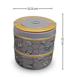 HiTechMart Stylish 2-Tier Lunch Box with Handle | Insulated, Leak-Proof Food Storage Container | BPA-Free, Portable Tiffin for Office, School, or Travel (Multicolor 2) HiTechMart Stylish 2-Tier Lunch Box with Handle | Insulated, Leak-Proof Food Storage Container | BPA-Free, Portable Tiffin for Office, School, or Travel (Multicolor 2)