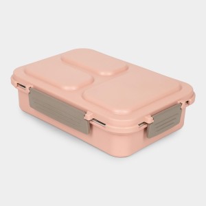 Stainless Steel Lunch Box 6 X 16 X 23 cm (Pack of 1) Stainless Steel Lunch Box 6 X 16 X 23 cm (Pack of 1)