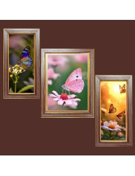 3-Pack The beautiful butterflies Photo Frames - 2 Pieces 6x13 Inch & 1 Piece 10x13 Inch - Rustic Wall Art for Home & Office Decor - Botanical Wall Hanging for Living Room, Bedroom, or Workspace