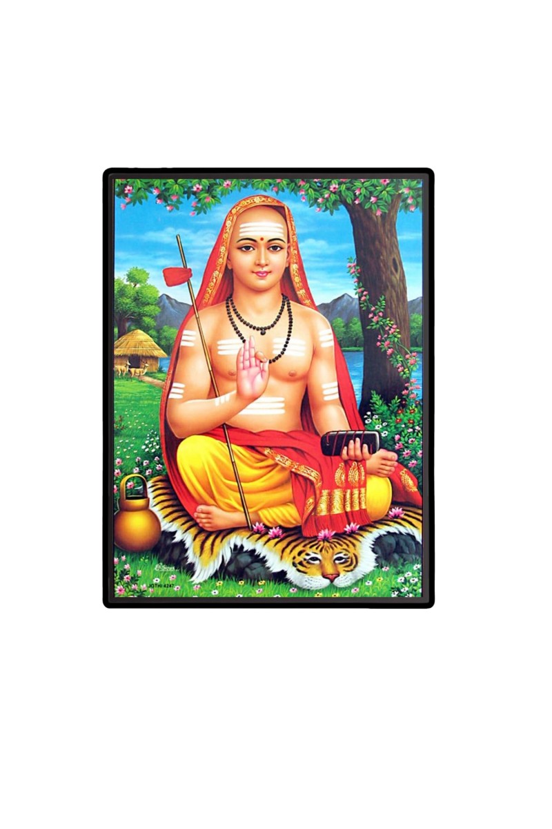 Adi Shankaracharya Laminated Photo - 5x7 Inches, Divine Blessings for Home & Office and Temple Decoration