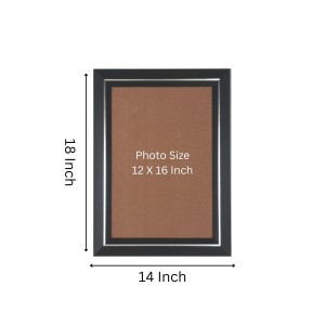 Penguins Photo Wall & Table Frame | 14x18 Inch Black Designer | Perfect For Gifting & Home Decor (F9638)