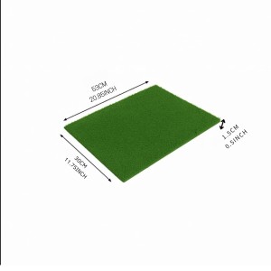 Hitech Sales, Premium Non-Slip Door Mat for Indoor & Outdoor Use – Water-Absorbent and Easy to Clean (Green)