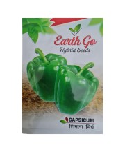 Bitter Gourd Seed Bitter Gourd Seed