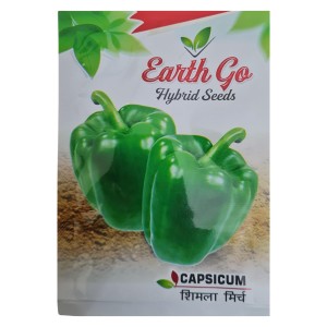 Bitter Gourd Seed Bitter Gourd Seed