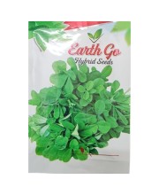 Fenugreek Leaves Seeds Methi Seeds Fenugreek Leaves Seeds Methi Seeds