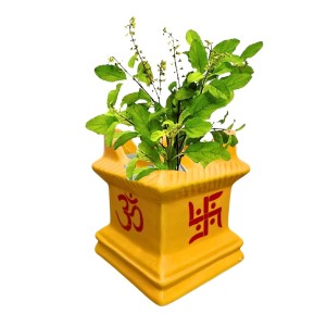 Tulsi Tree Planter Pot Indoor Outdoor Sacred Basil Plant Holder Decorative Eco-Friendly Durable Lightweight (Yellow) Tulsi Tree Planter Pot Indoor Outdoor Sacred Basil Plant Holder Decorative Eco-Friendly Durable Lightweight (Yellow)