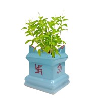 Tulsi Tree Planter Pot Indoor Outdoor Sacred Basil Plant Holder Decorative Eco-Friendly Durable Lightweight Tulsi Tree Planter Pot Indoor Outdoor Sacred Basil Plant Holder Decorative Eco-Friendly Durable Lightweight