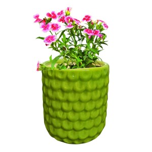Green Ceramic Plant Pot for Indoor Plants | Decorative Textured Flower Planter for Home, Office & Tabletop Decor (only Pot) Green Ceramic Plant Pot for Indoor Plants | Decorative Textured Flower Planter for Home, Office & Tabletop Decor (only Pot)