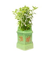 Tulsi Planter Garden Decorative Pot Ghamla for Home Outdoor Indoor Balcony Terrace Decoration. (Green) Tulsi Planter Garden Decorative Pot Ghamla for Home Outdoor Indoor Balcony Terrace Decoration. (Green)
