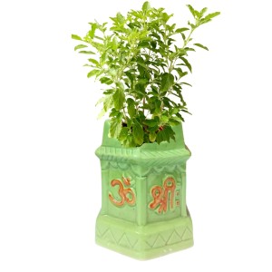 Tulsi Planter Garden Decorative Pot Ghamla for Home Outdoor Indoor Balcony Terrace Decoration. (Green) Tulsi Planter Garden Decorative Pot Ghamla for Home Outdoor Indoor Balcony Terrace Decoration. (Green)