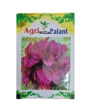 Lal Shak Seeds Red Amaranth Spinach Jabakusum Seeds Lal Shak Seeds Red Amaranth Spinach Jabakusum Seeds