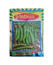 Capsicum Hybrid Seeds Shimla Mirch Capsicum Hybrid Seeds Shimla Mirch