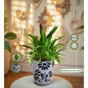 HI TECH Sales Indoor Decorative Potted Green Plant with Hand-Painted Black Floral Ceramic Pot – Ideal for Home,Gardening,Office, and Gifting HI TECH Sales Indoor Decorative Potted Green Plant with Hand-Painted Black Floral Ceramic Pot – Ideal for Home,Gardening,Office, and Gifting