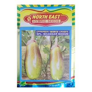 Hybrid Seeds Brinjal Bhangar Seeds Desi Brinjal Seeds Special Bhangar Begun Seed Vangar Bengan Seeds Hybrid Seeds Brinjal Bhangar Seeds Desi Brinjal Seeds Special Bhangar Begun Seed Vangar Bengan Seeds