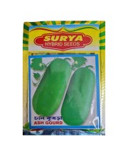 Ash Gourd Hybrid Seeds Chal Kumra Ash Gourd Hybrid Seeds Chal Kumra